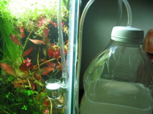 DIY co2 bubbles